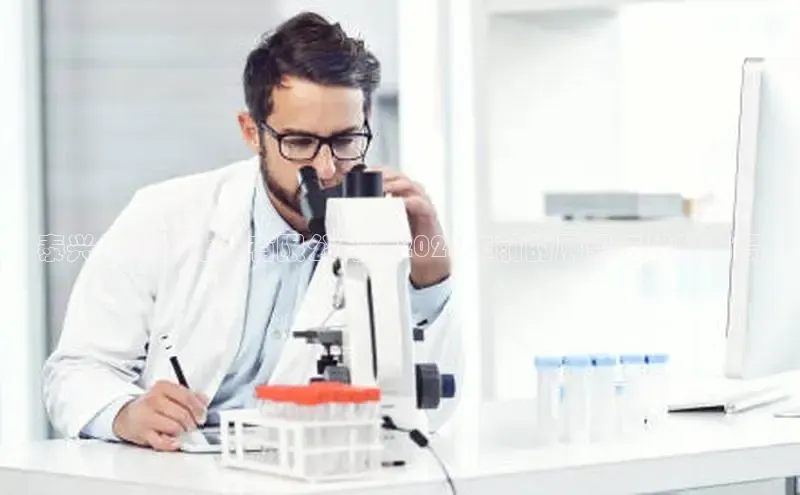 贝博平台网站谁知道