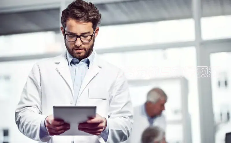 贝博bb平台体育网页版